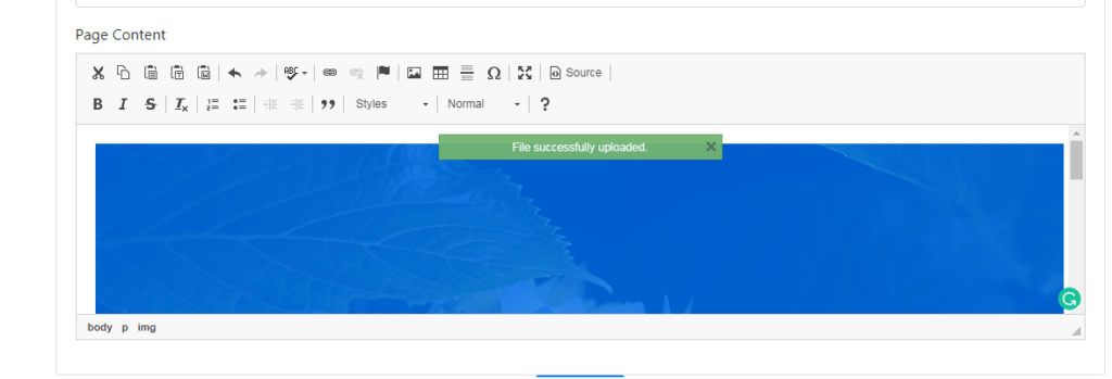Incorrect Server Response on image drag and drop in CKEditor with ...